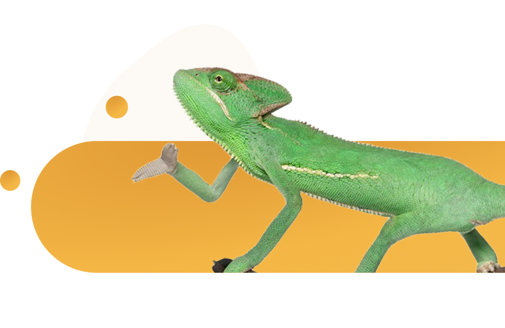 Caméléon