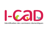 logo icad