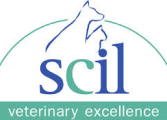 logo scil