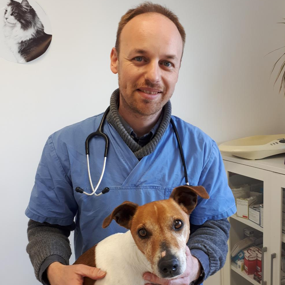 Photo du docteur vétérinaire Fermaud