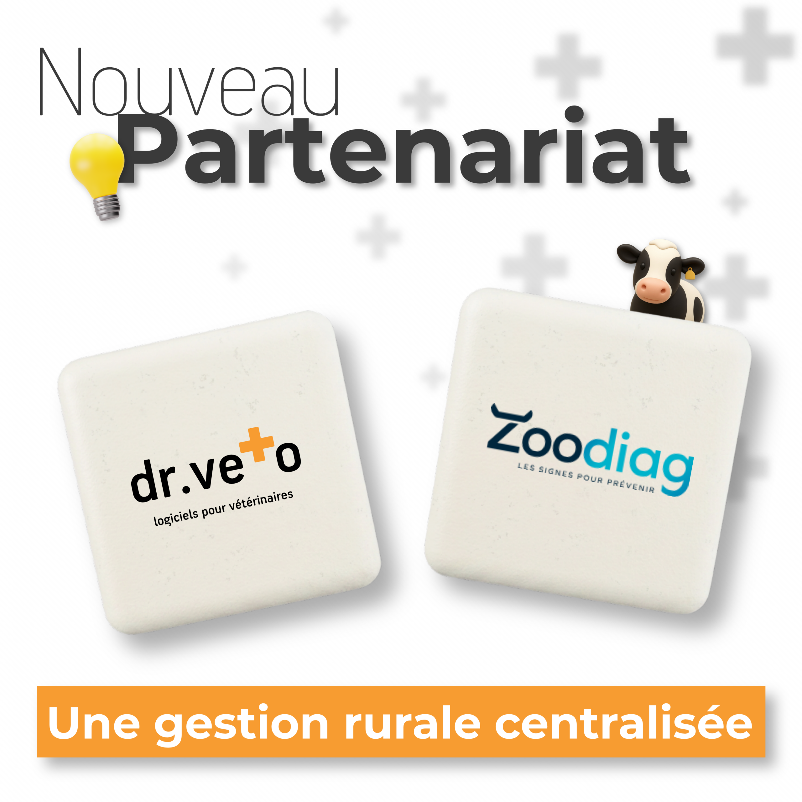 Image d'illustrattion - zoodiag et dr.veto